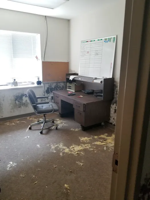 Access Mold & Fire Restoration Picture 4