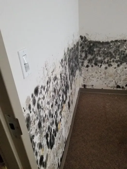 Access Mold & Fire Restoration Picture 1