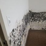 Access Mold & Fire Restoration