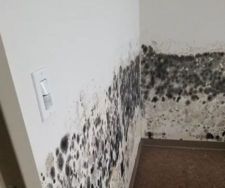 Access Mold & Fire Restoration