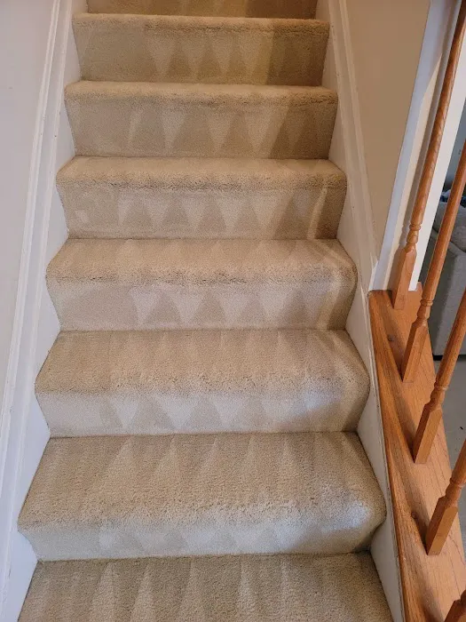 A-1 Carpet Cleaning & Restoration Picture 4