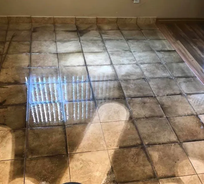 A-1 Carpet Cleaning & Restoration Picture 3