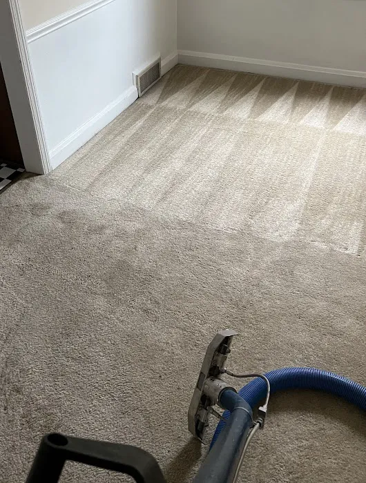 A-1 Carpet Cleaning & Restoration Picture 5