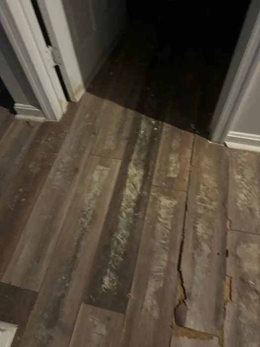 DMV Restoration Services LLC Picture 4