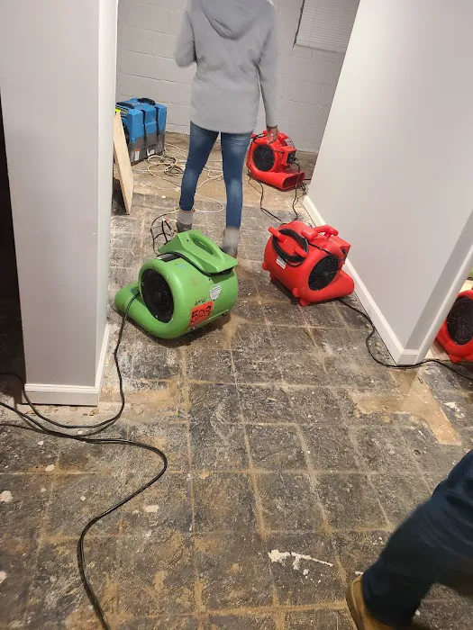 Restoreace Picture 7