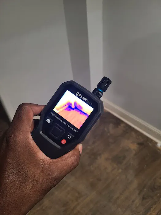 Restoreace Picture 8