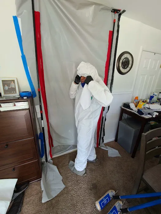 Restoreace Picture 5