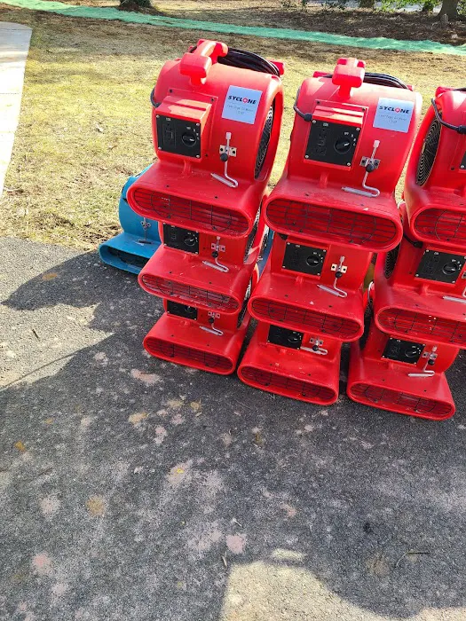 Restoreace Picture 6