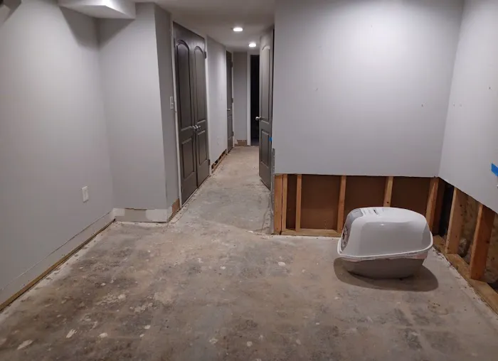 Best Option Restoration DMV Picture 7