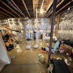 Best Option Restoration DMV