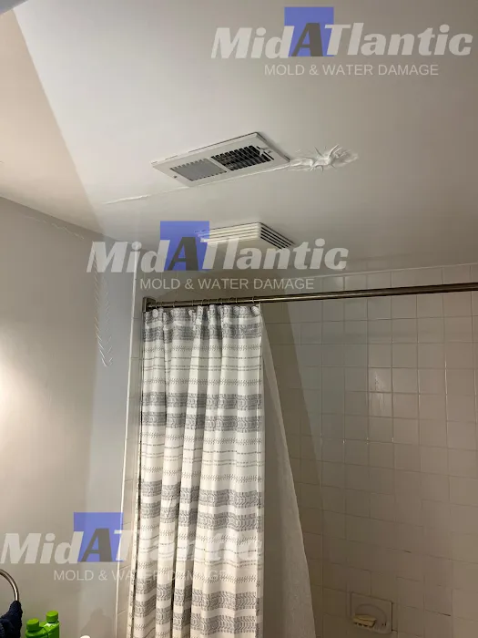 Midatlantic Mold and Water Damage of DC Picture 7