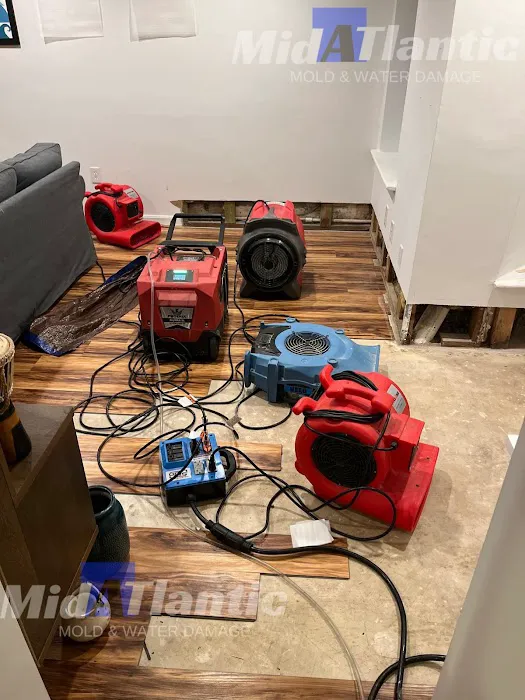 Midatlantic Mold and Water Damage of DC Picture 8