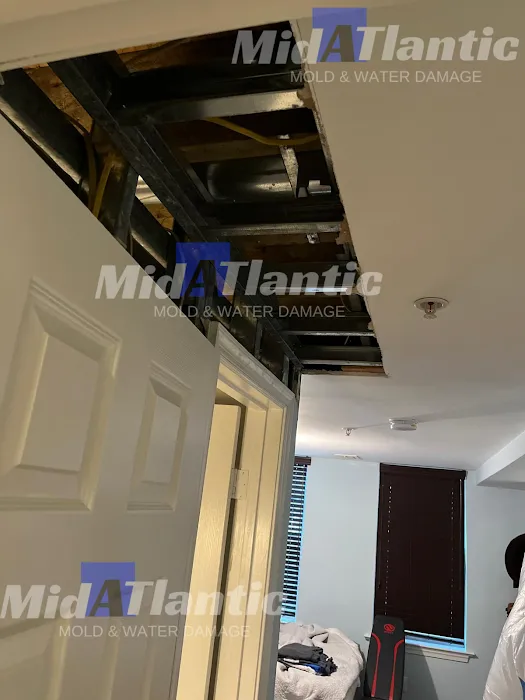 Midatlantic Mold and Water Damage of DC Picture 3