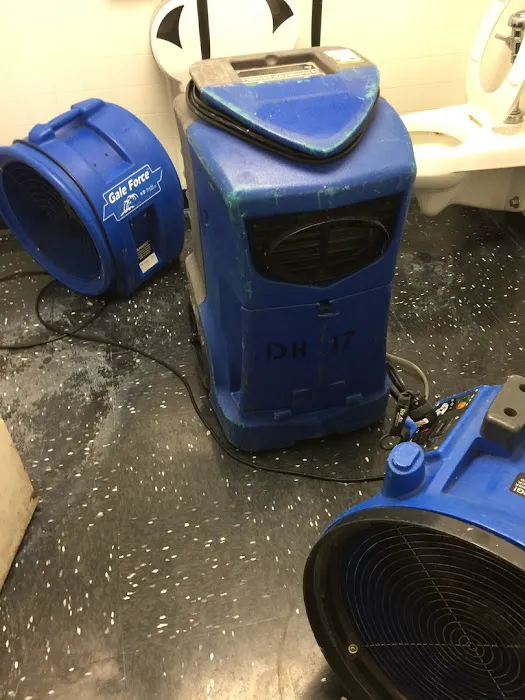 Rainbow Restoration of Washington DC Picture 4