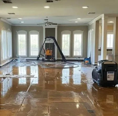 Lion water Picture 10