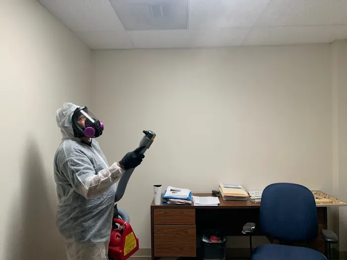 Lion water Picture 2