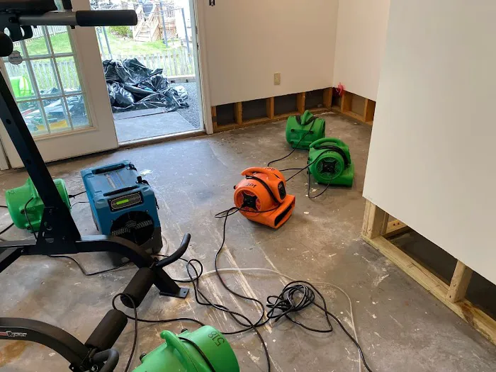 Lion water Picture 1