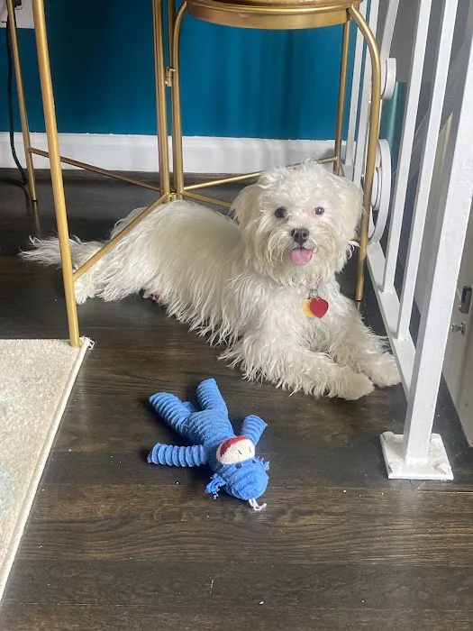 ServiceMaster NCR Picture 8