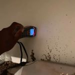 Neighborly Restoration