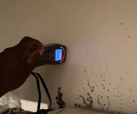 Neighborly Restoration