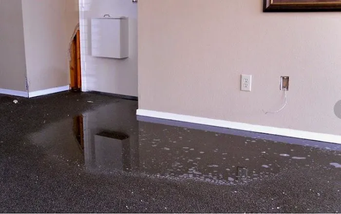 Total Quality Building Services Picture 1