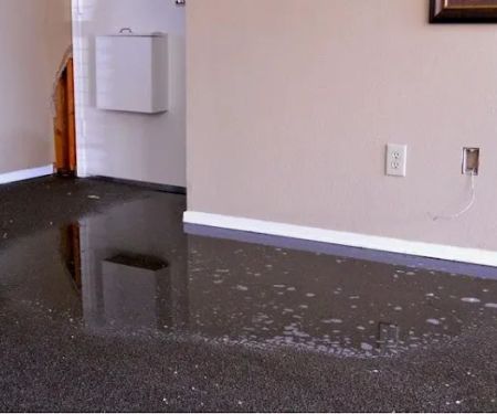 Total Quality Building Services