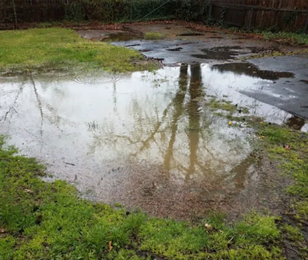 Crawl Space Brothers Picture 1