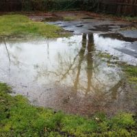 Crawl Space Brothers ico