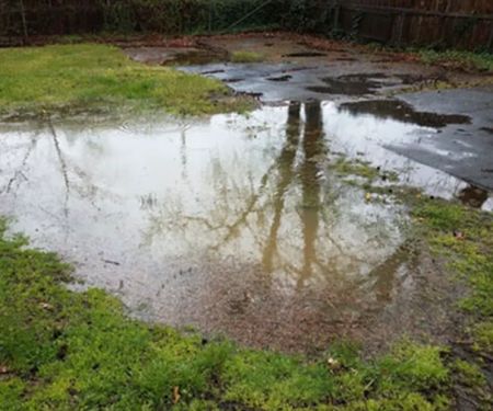 Crawl Space Brothers