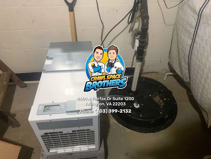 Crawl Space Brothers Picture 2