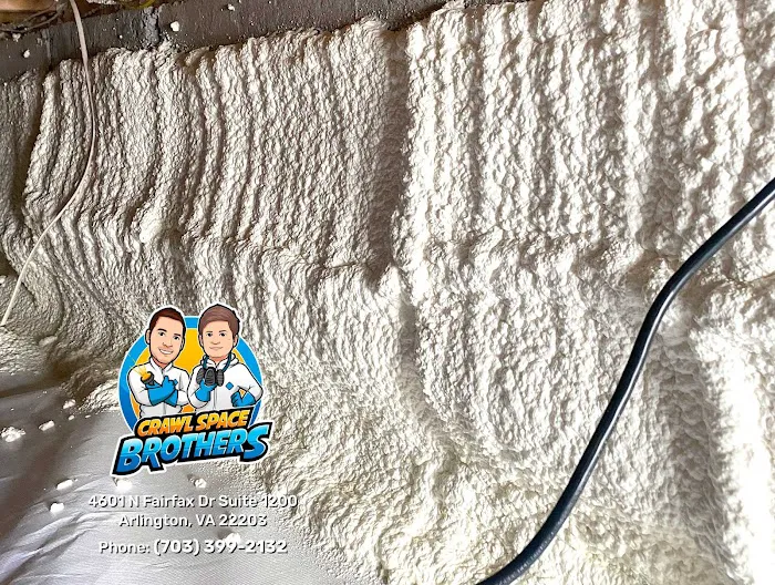 Crawl Space Brothers Picture 10