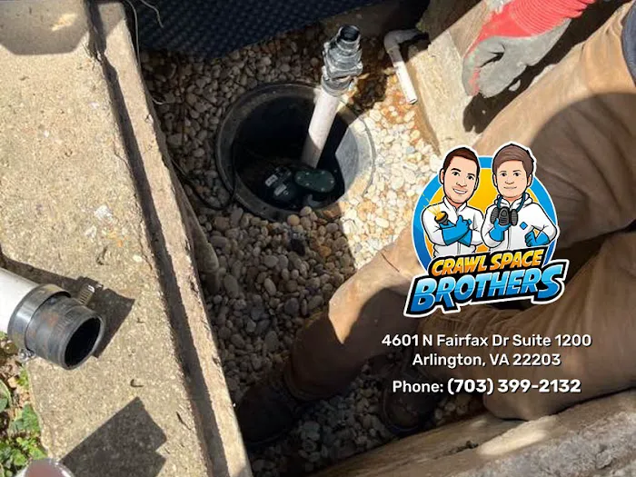 Crawl Space Brothers Picture 3