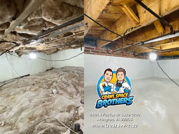 Crawl Space Brothers Picture 9