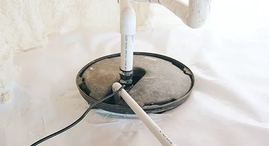 Crawl Space Brothers Picture 6