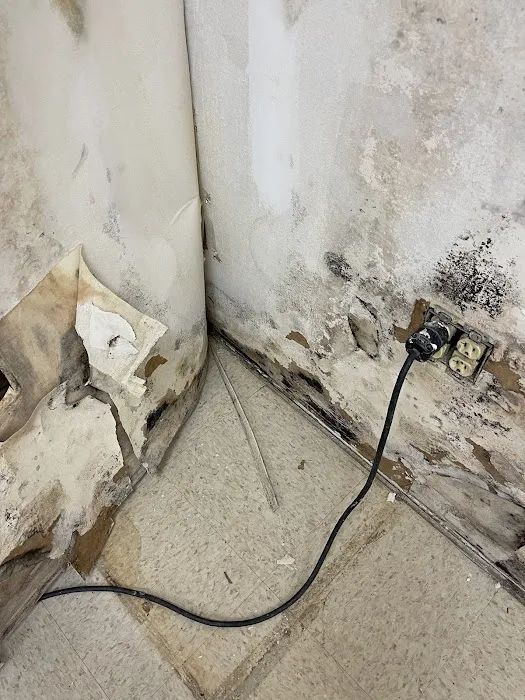 Legacy Restoration Specialists Picture 3