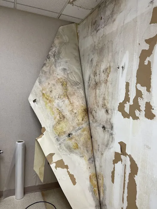 Legacy Restoration Specialists Picture 6