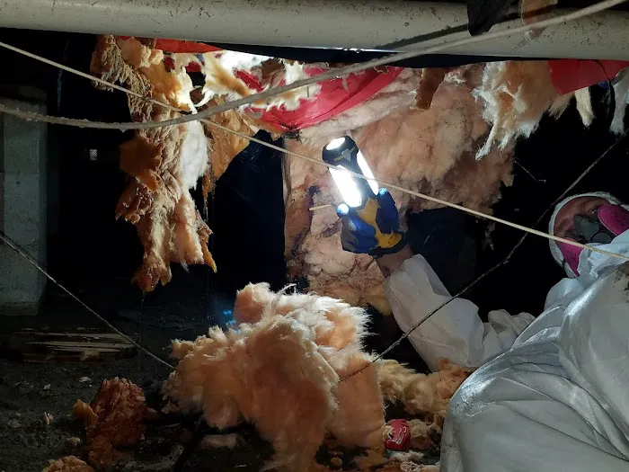 United Water Restoration Group of Laurel Picture 7