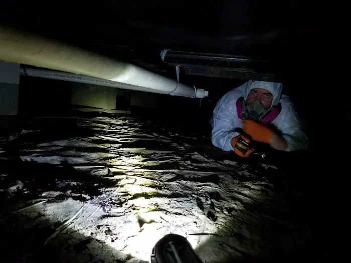 United Water Restoration Group of Laurel Picture 1