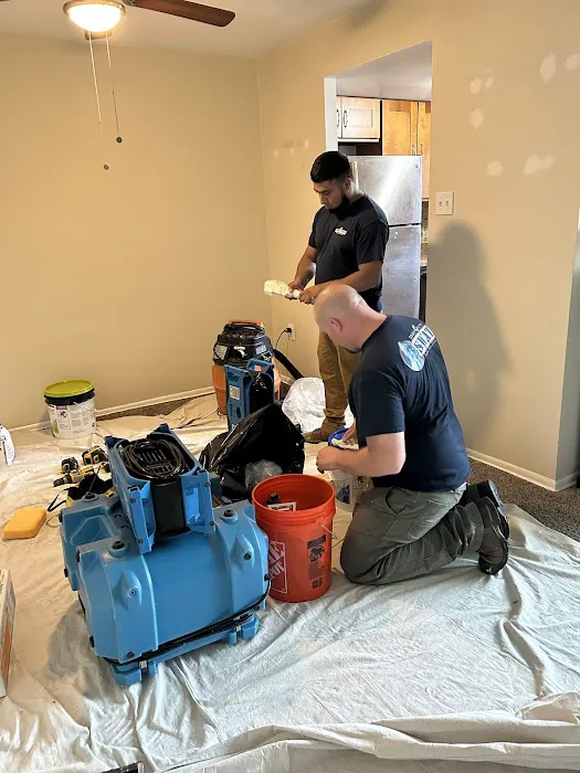 County Action Restoration Picture 8