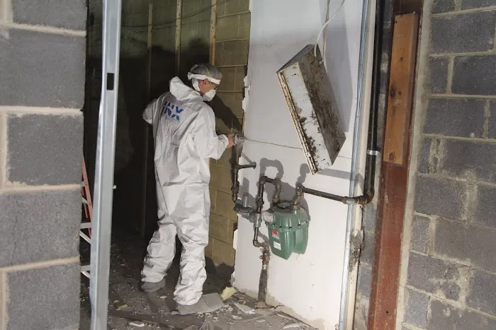 INX Indoor Air Quality Picture 8