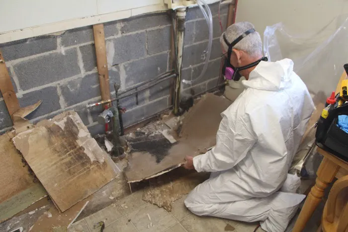 INX Indoor Air Quality Picture 1