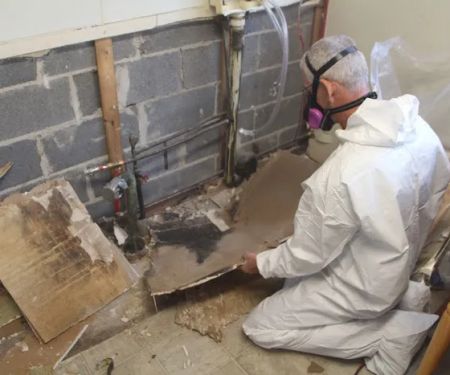 INX Indoor Air Quality