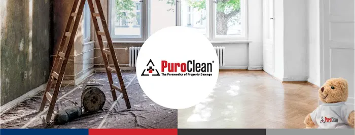 PuroClean of Newtown Square Picture 1