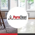 PuroClean of Newtown Square
