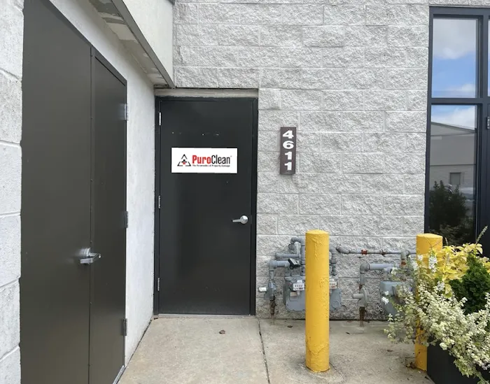 PuroClean of Newtown Square Picture 5