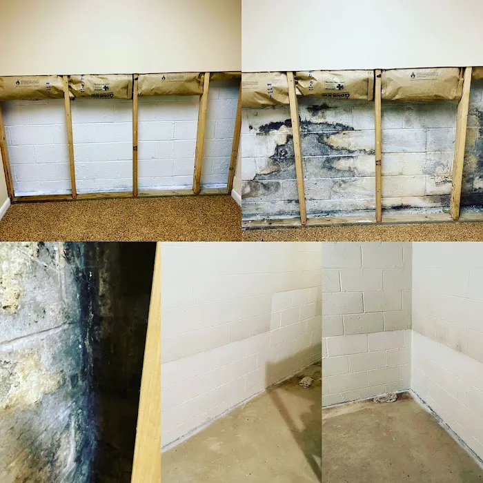 Mold Abatement Contractors Picture 10