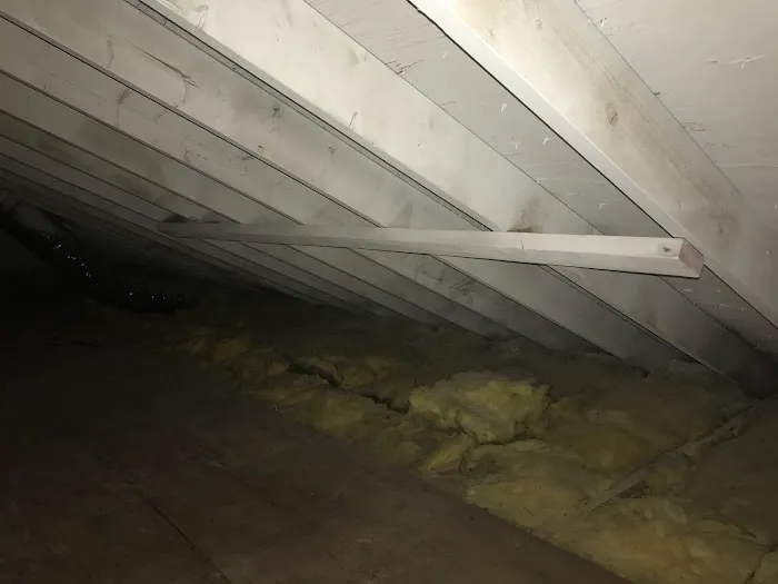 Mold Abatement Contractors Picture 7