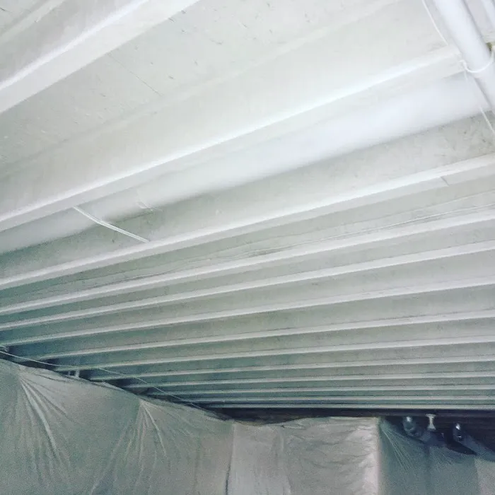 Mold Abatement Contractors Picture 2