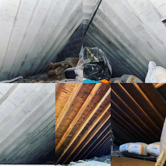 Mold Abatement Contractors Picture 9