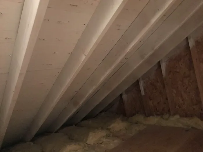 Mold Abatement Contractors Picture 8